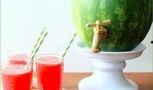 吃瓜大爽,吃瓜大爽背后的娱乐风云