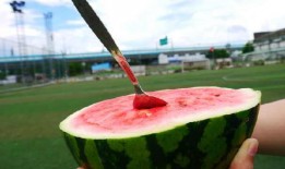 吃瓜避灾,揭秘如何在纷繁复杂中保持冷静与理智